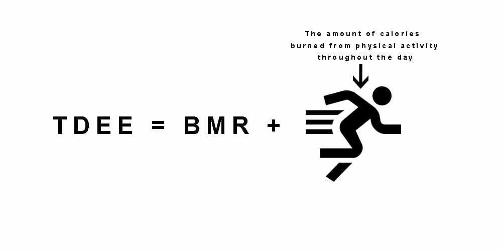 What is BMR & TDEE and How to Calculate Them