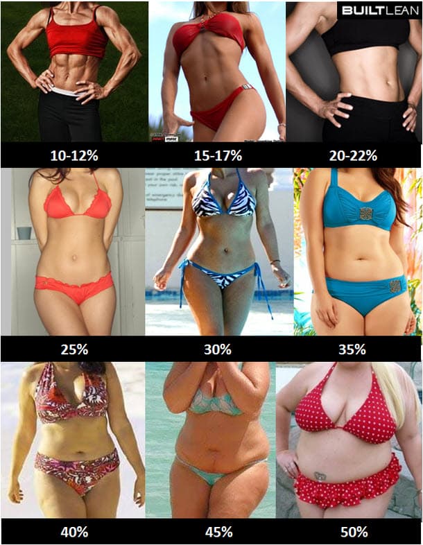 What is Body Fat Percentage and How to Calculate It